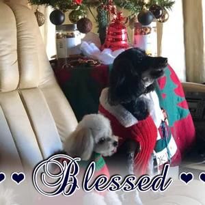 Meet your Posher, Cathy